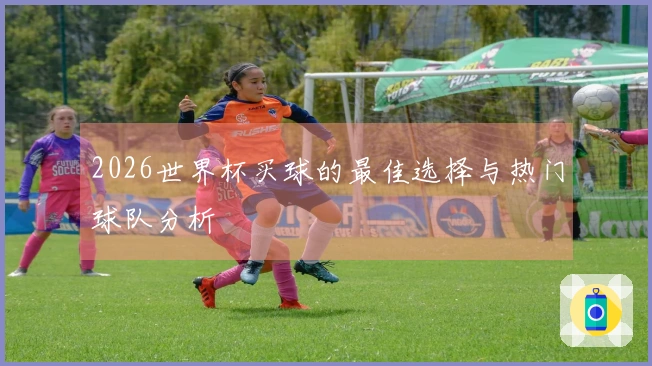2026世界杯买球的最佳选择与热门球队分析