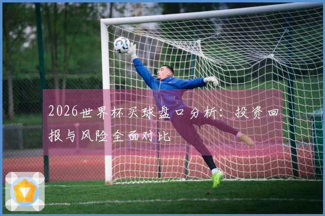 2026世界杯买球盘口分析：投资回报与风险全面对比