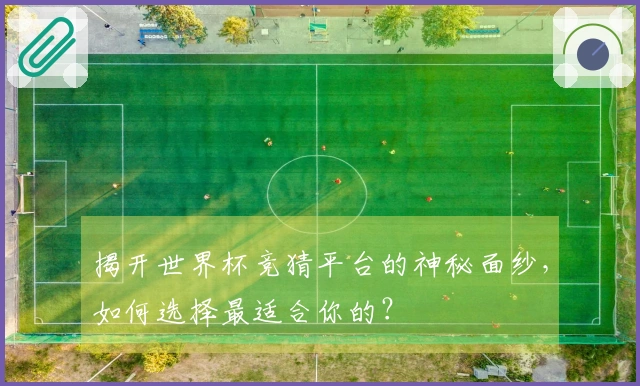 揭开世界杯竞猜平台的神秘面纱，如何选择最适合你的？