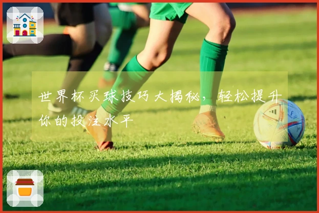 世界杯买球技巧大揭秘，轻松提升你的投注水平