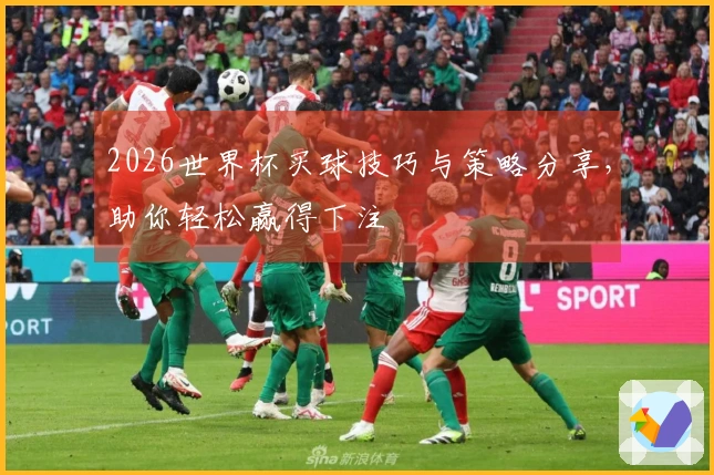 2026世界杯买球技巧与策略分享，助你轻松赢得下注