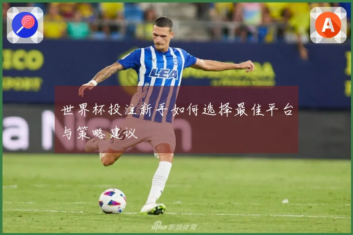 世界杯投注新手如何选择最佳平台与策略建议