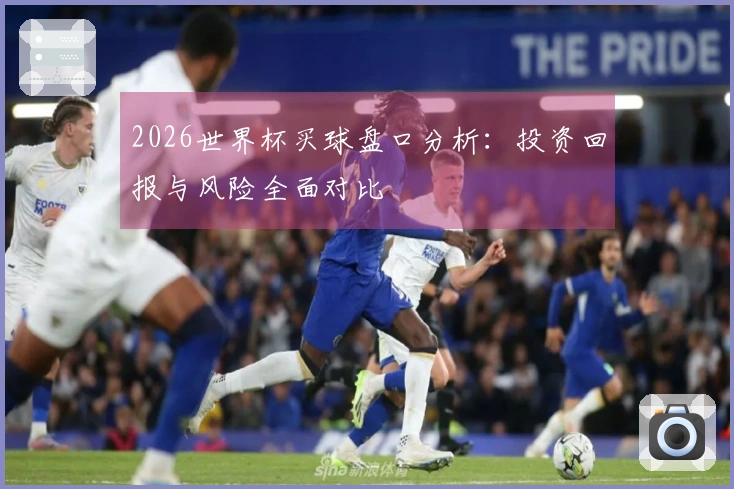 2026世界杯买球盘口分析：投资回报与风险全面对比