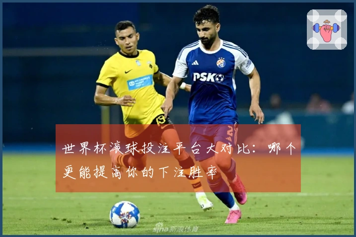世界杯滚球投注平台大对比：哪个更能提高你的下注胜率