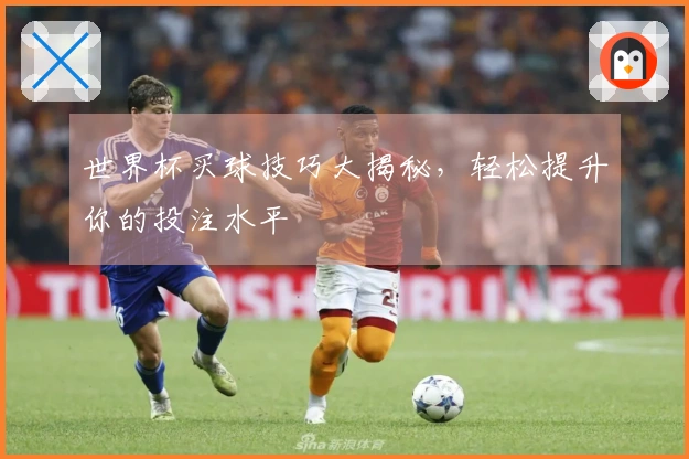 世界杯买球技巧大揭秘，轻松提升你的投注水平