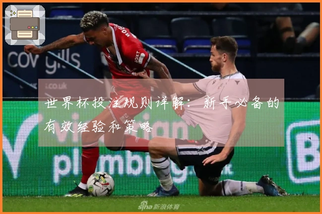 世界杯投注规则详解：新手必备的有效经验和策略